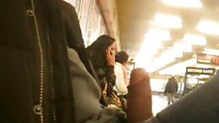 بڑے پیمانے پر ڈک آمن ...