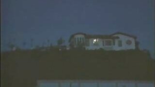 پیٹو بالغ ماں ایک گن ...