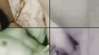 ایک نوعمر چوزہ صبح ک ...