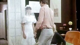 للی ہوئی جاپانی سلٹ  ...