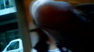 بکسوم سلٹ کو کتے کی  ...